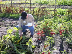 Photo of an inspector checking a home garden.